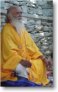 Swami Shyam